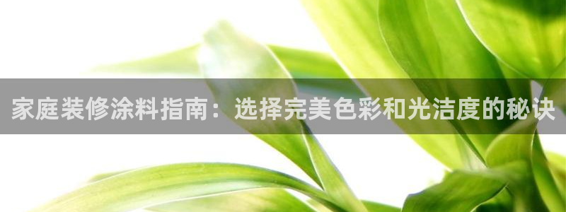 和记登陆：家庭装修涂料指南：选择完美色彩和光洁度的秘诀