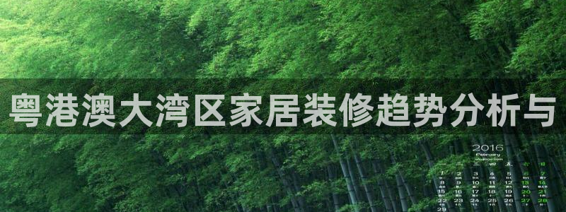 和记国际客服：粤港澳大湾区家居装修趋势分析与