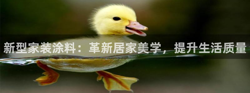 和记网页版登陆：新型家装涂料：革新居家美学，提升生活质量