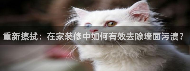 青岛大生和记餐饮管理有限公司：重新擦拭：在家装修中如何有效去除墙面污渍？