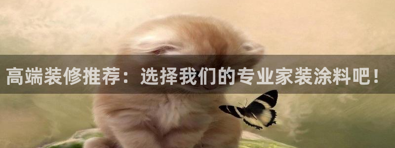 和记官方网址：高端装修推荐：选择我们的专业家装涂料吧！