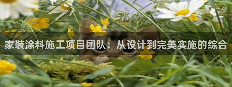 和记app官网：家装涂料施工项目团队：从设计到完美实施的综合