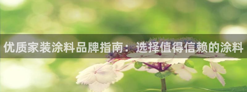 和记paging：优质家装涂料品牌指南：选择值得信赖的涂料