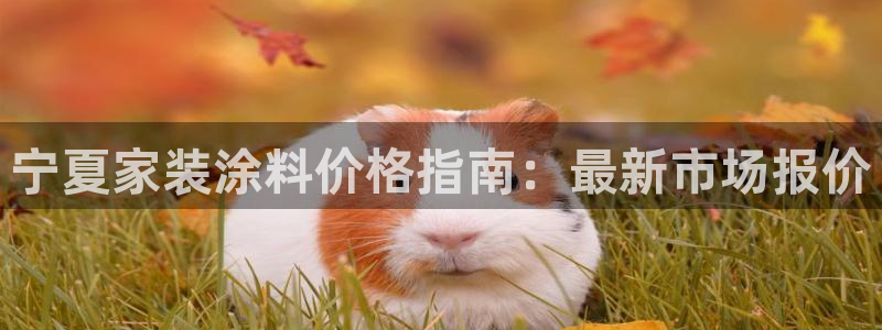 和记国际开户网站：宁夏家装涂料价格指南：最新市场报价